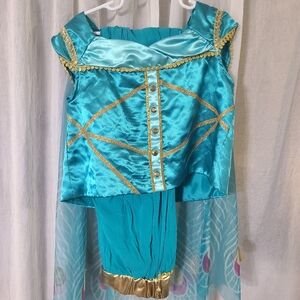 Disney's Aladdin Jasmine Costume